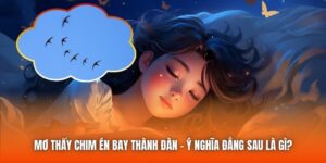Mơ Thấy Chim Én Bay Thành Đàn - Ý Nghĩa Đằng Sau Là Gì?